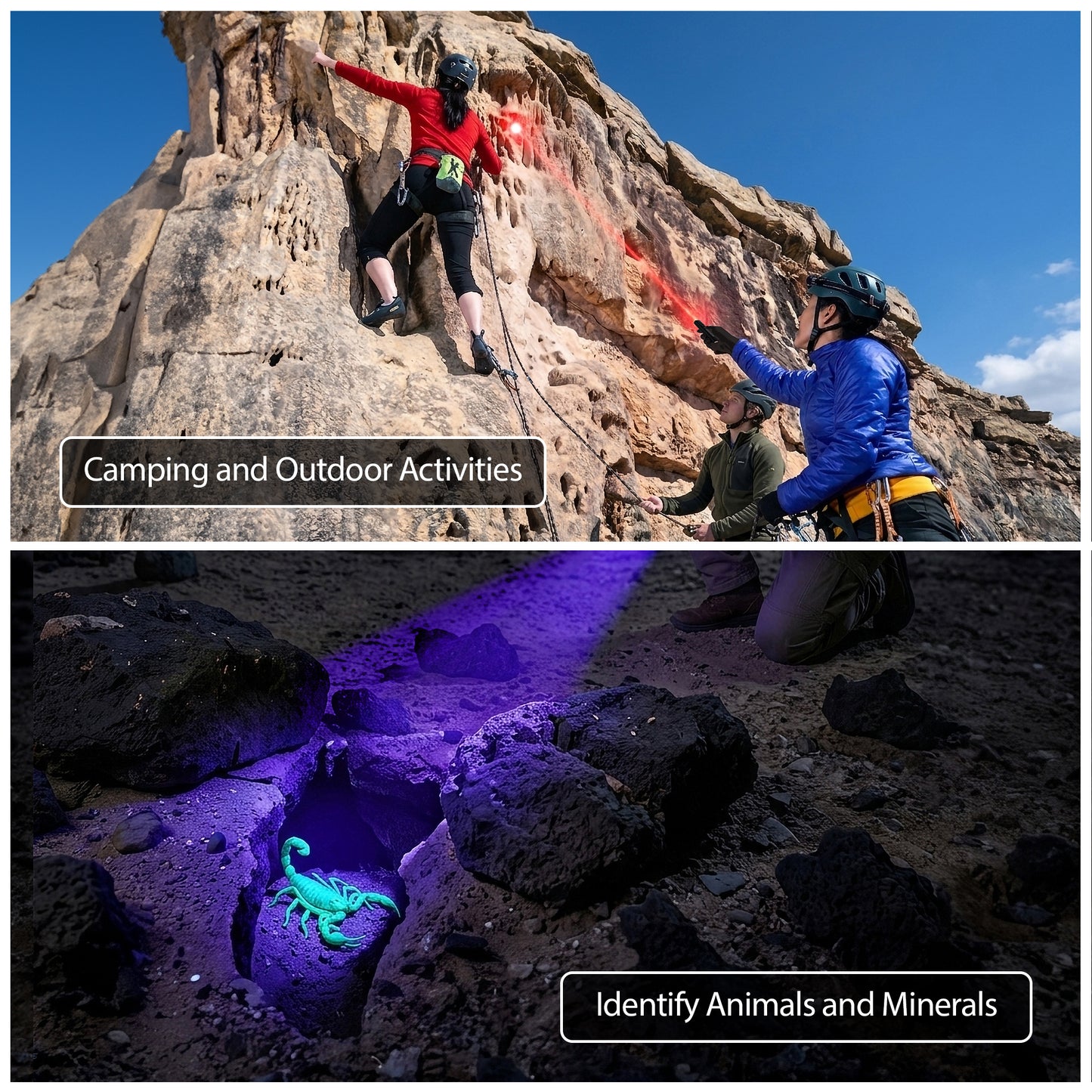 Flashlight w/ UV & Red Laser