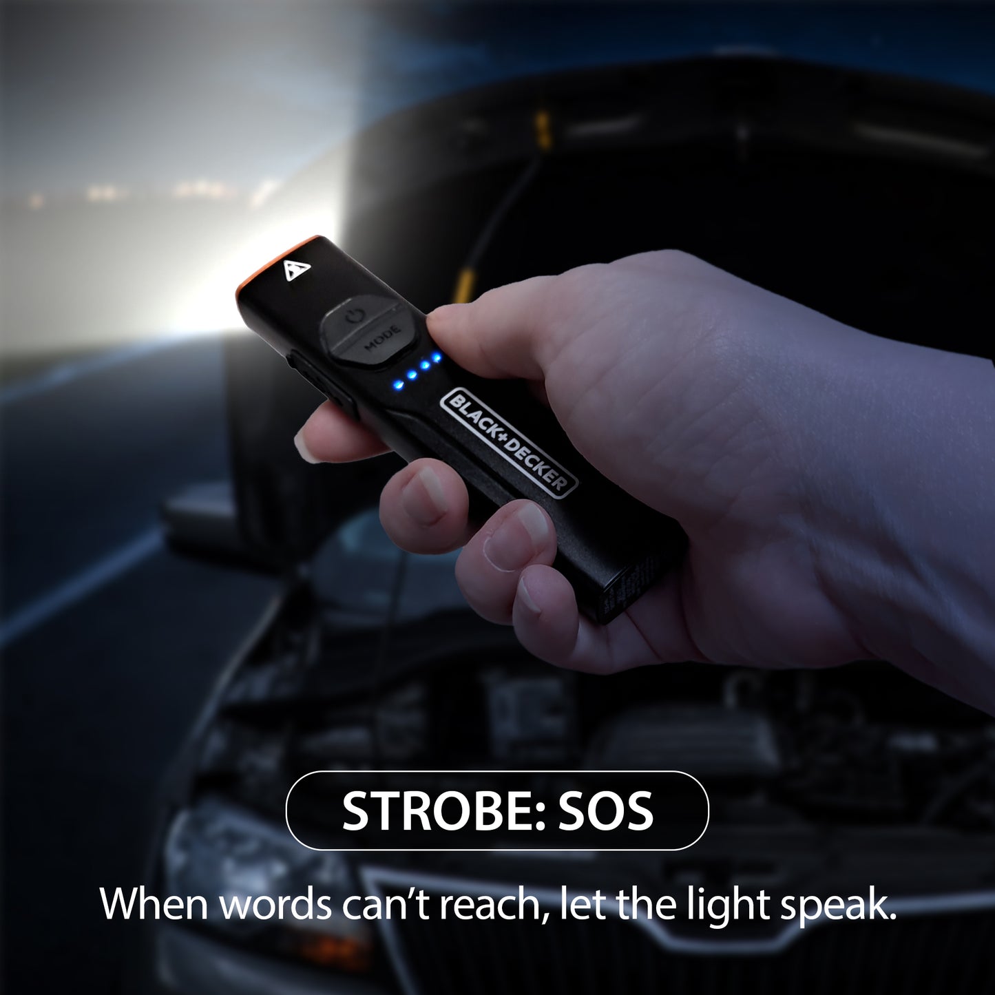 Flashlight w/ UV & Red Laser